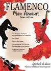 Flamenco mon amour 3 - Salle Pierre Lamy