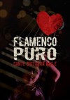 Puro Flamenco - Ogresse Théâtre