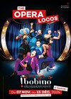 The Opera Locos - Bobino