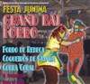 Festa Junina - Cabaret Sauvage