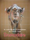 Dromadaire - Théâtre du Cours