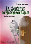 La sorcière du placard aux balais - Théâtre de l'Eau Vive