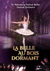 La belle au bois dormant - L'Acclameur