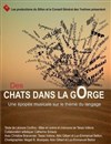 Des chats dans la gorge - Théâtre de Nesle - grande salle 