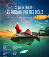 Si ça se trouve, les poissons sont très drôles - Salle des Fêtes de Villeneuve la Garenne