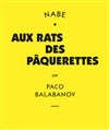 Aux rats des pâquerettes - La Petite Croisée des Chemins