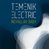 Temenik Electric - La Bellevilloise