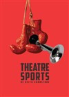 Theatresports - Théâtre de Nesle - grande salle 