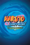 Naruto Shippuden Symphonic Experience - Le Dôme de Paris - Palais des sports