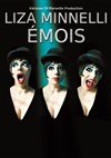 Liza Minnelli emois - Théâtre Carnot