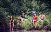 Splendeur dans l'herbe - Centre Paris Anim' La Jonquière