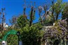 Visite guidée : Rallye urbain, pédestre et ludique dans le Montmartre des artistes - Butte Montmartre