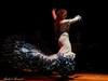 Marina Pomares danseuse de Flamenco - L'Antidote