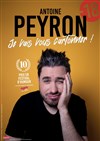 Antoine Peyron dans Je vais vous cartonner ! - La Girafe