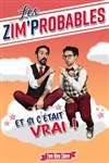 Les zim'probables dans Et si c'était vrai ! - Le Bouffon Bleu