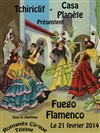 Fuego Flemenco ! - Cirque Tzigane Romanès