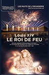 Louis XIV, Le Roi de Feu - Château de Versailles - Jardins de l'Orangerie