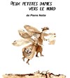 Deux petites dames vers le nord - Théâtre Popul'air du Reinitas