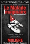 Le malade imaginaire - Sud Est Théâtre