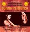 Sunday Flamenco - Péniche Antipode