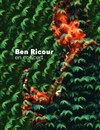 Ben Ricour - Le Solo