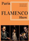 Flamenco Show - Song Ja Flûtes