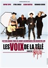 Les voix de la télé chantent Hallyday - Théâtre Sébastopol