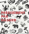 Précisément par hasard - La Salle du Vert Noir