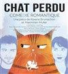 Chat perdu - Espace 89