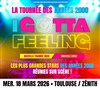 I gotta feeling - Zénith de Toulouse