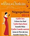 Soirée Comédie musicale - Chateau de Nègrepelisse