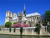 Visite guidée : L'île de la Cité. Le berceau de Paris. De la Place Dauphine à la maison d'Eloïse et Abélard - Métro Pont Neuf