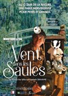 Le vent dans les saules - Théâtre Atelier des Arts