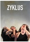 Zyklus - Lavoir Moderne Parisien