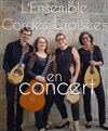 Ensemble cordes croisées - Théâtre de Nesle - grande salle 