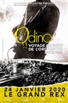 OdinO - Le Grand Rex