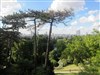 La Mouzaia et les Buttes Chaumont - Métro Botzaris