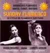 Sunday Flamenco - Péniche Antipode