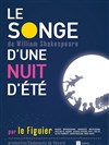 Le songe d'une nuit d'été - Théâtre du Grand Orme