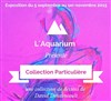 David Dehaineault : Collection Particulière - L'Aquarium