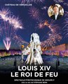 Louis XIV, Le roi de feu - Château de Versailles - Jardins de l'Orangerie