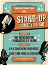 Stand Up Comedy or Not - Théâtre Le Cours H.