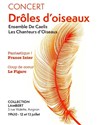 Drôles d'oiseaux - Collection Lambert, Salle aux arcades