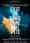 C'est un songe d'une nuit d'été - Théâtre Clavel