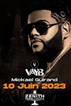 VAYB - Mickael Guirand - Zénith de Paris