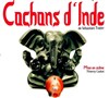 Cochons d'inde - Le Vox