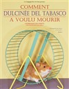 Comment Dulcinée del Tabasco a voulu mourir - Théâtre Darius Milhaud