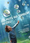 Les mots qui tombent du ciel - Théâtre Astral-Parc Floral