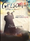 Gelsomina - A La Folie Théâtre - Petite Salle