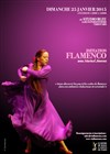 Stage initiation au flamenco - Studio Bleu